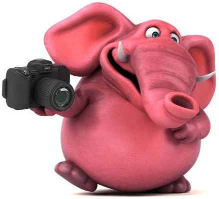 аренда праздник