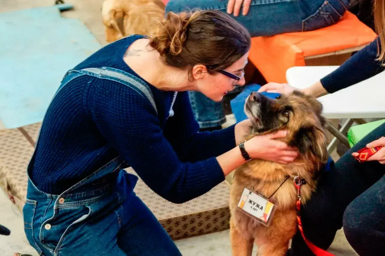 Благотворительный фестиваль «Собаки, которые любят» в Москве, 16 ноября 2025