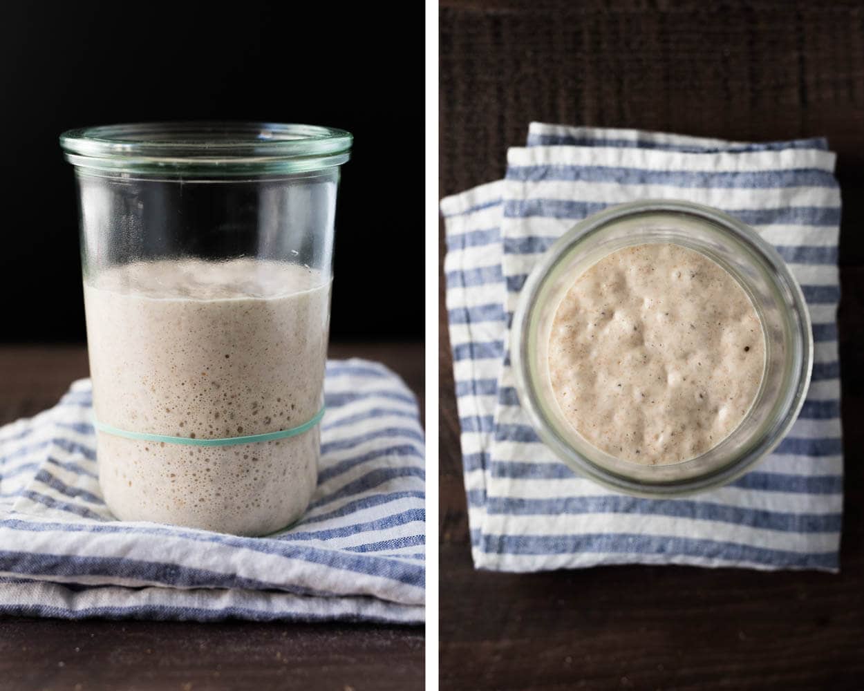 Active sourdough starter being fed with fresh flour and water