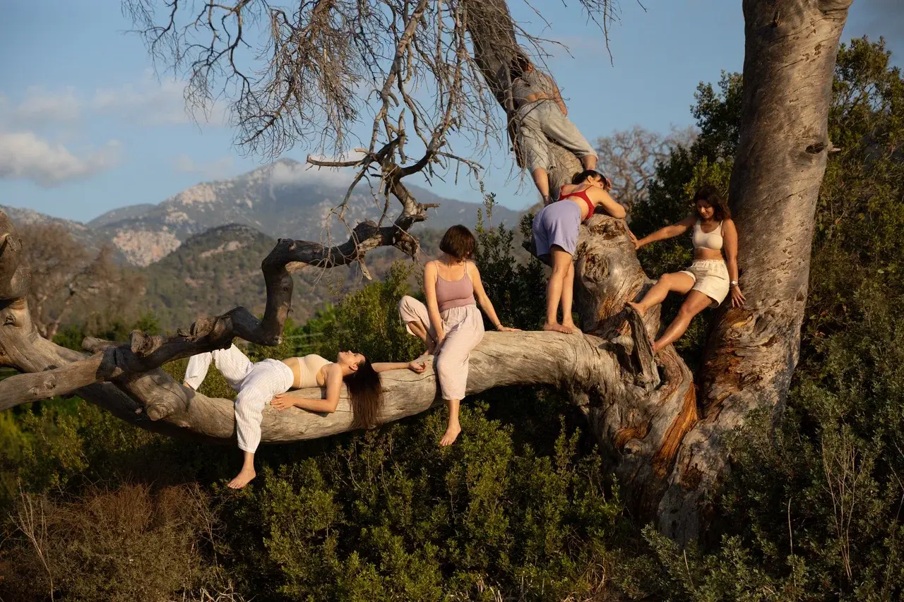 Чуриковтың кеуделері Чуриковтың кеуделері