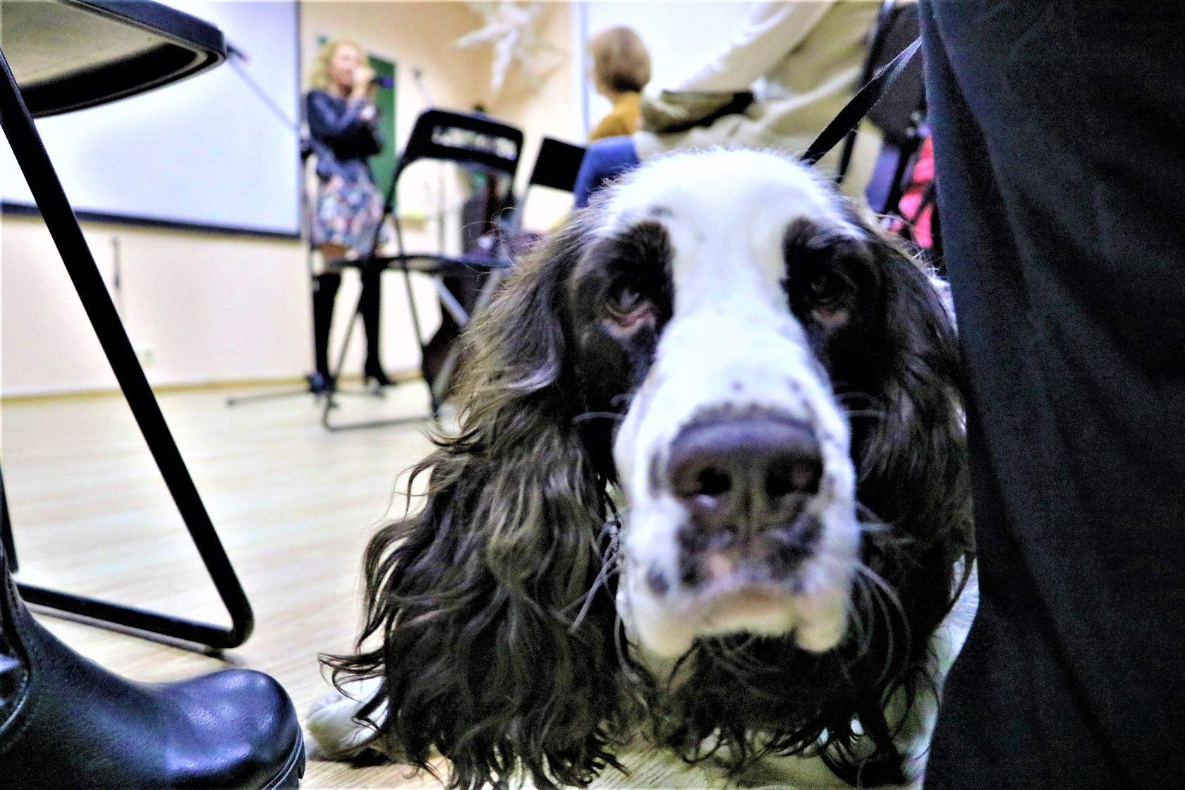 Библиотека студента-астролога | Академия Астрологии Михаила Левина