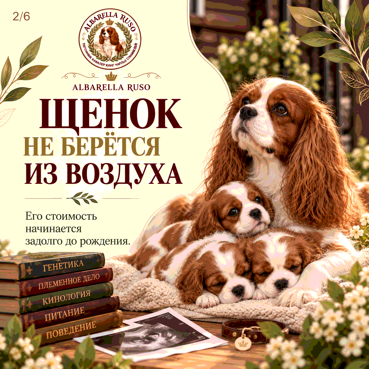 Сколько стоит вырастить щенка 