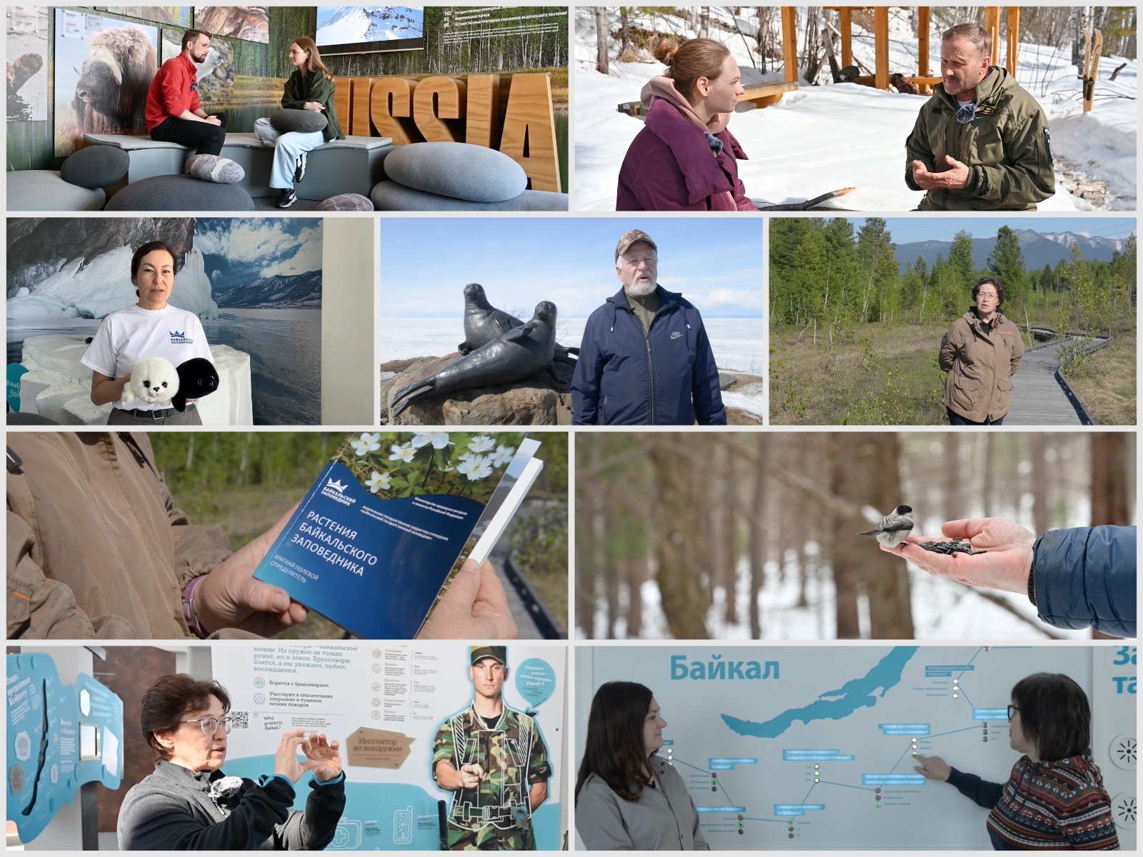 Видео Байкальского заповедника
