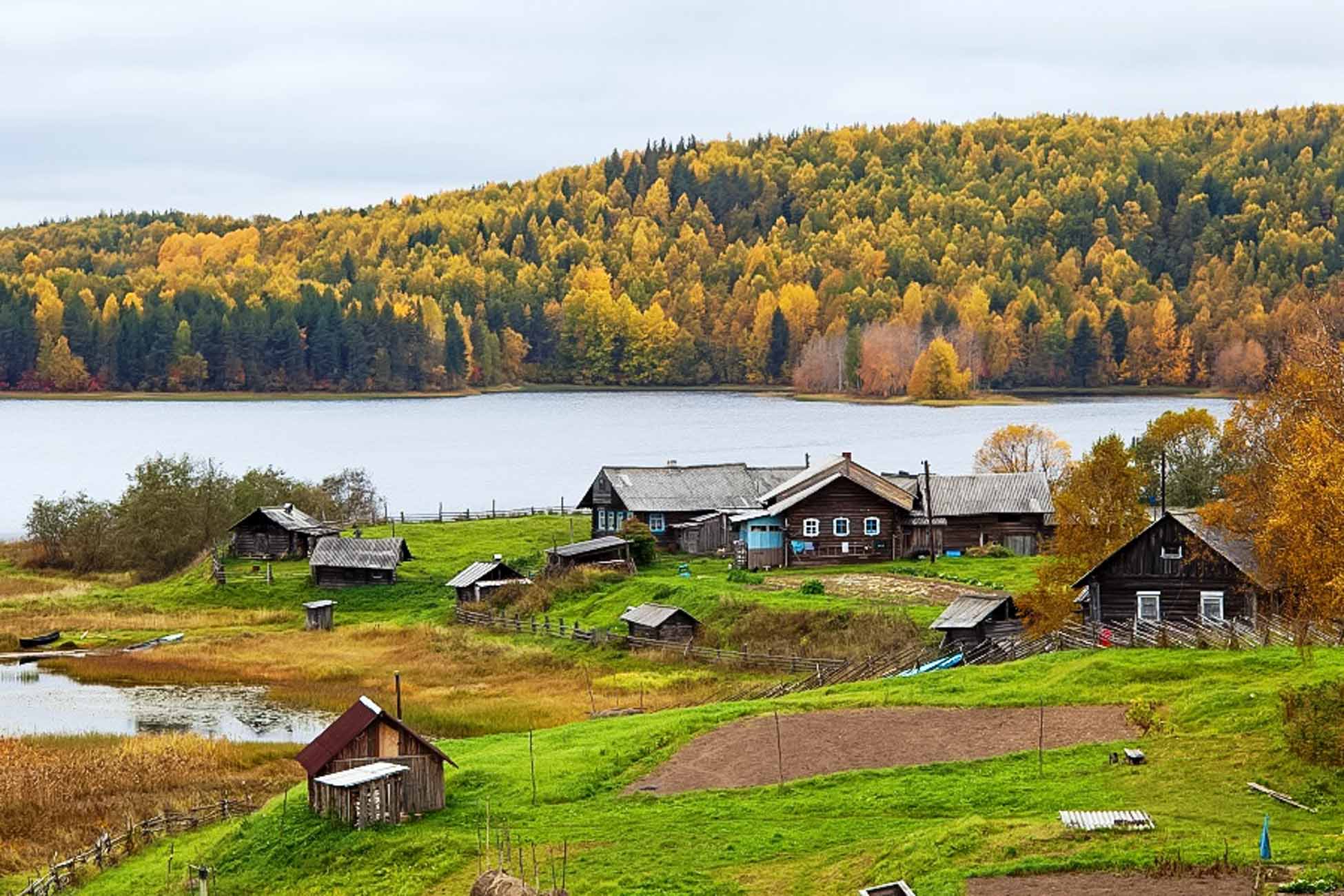 Кенозерский парк осень