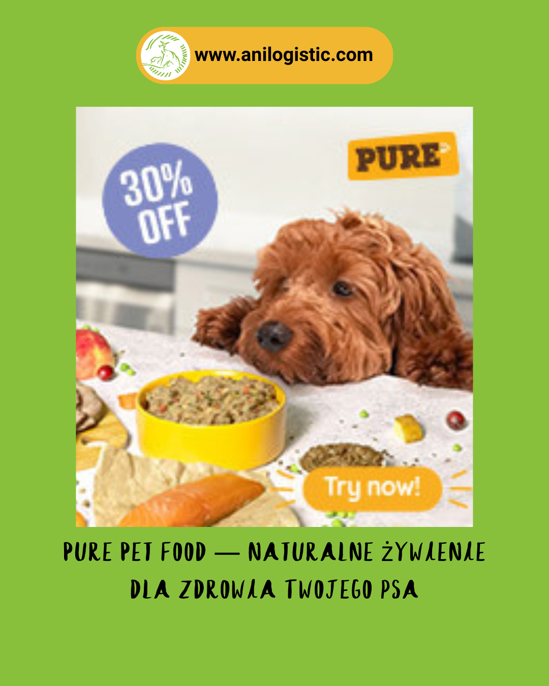 Pies jedzący indywidualnie dobraną karmę Pure Pet Food z naturalnych składników
