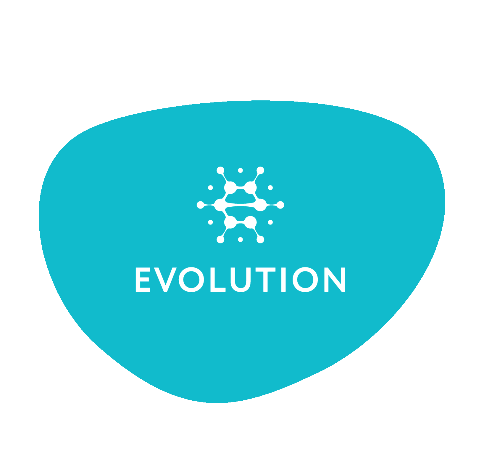 Эволюция сервиса. Сервис Evolution. Лайф сервис. Evolution Life логотип.