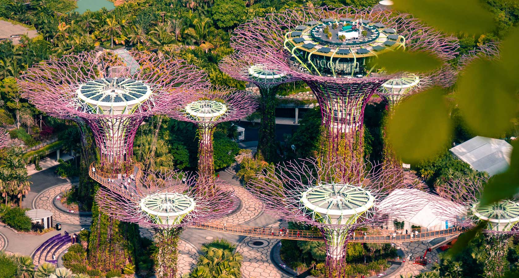 Сады у залива в Сингапуре - Супер Деревья Super Trees