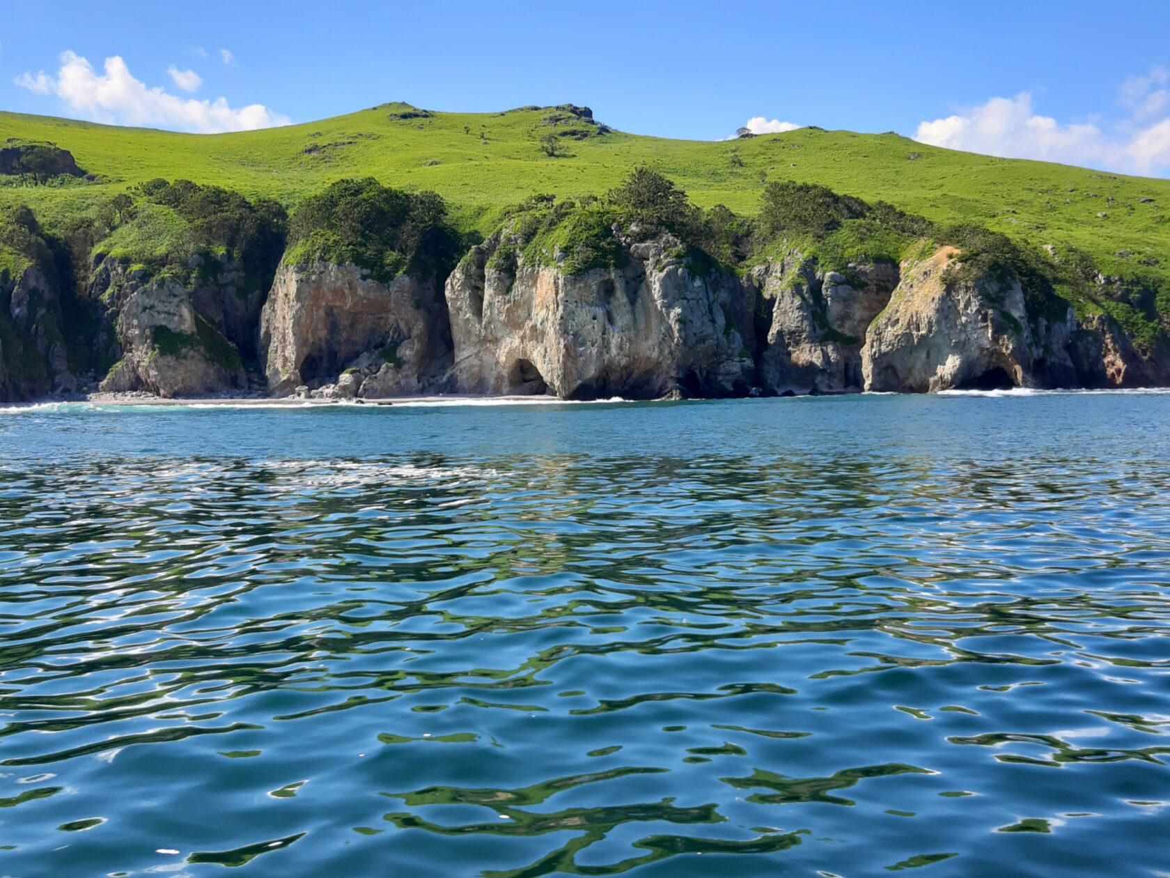 Дальневосточный морской заповедник Приморский край