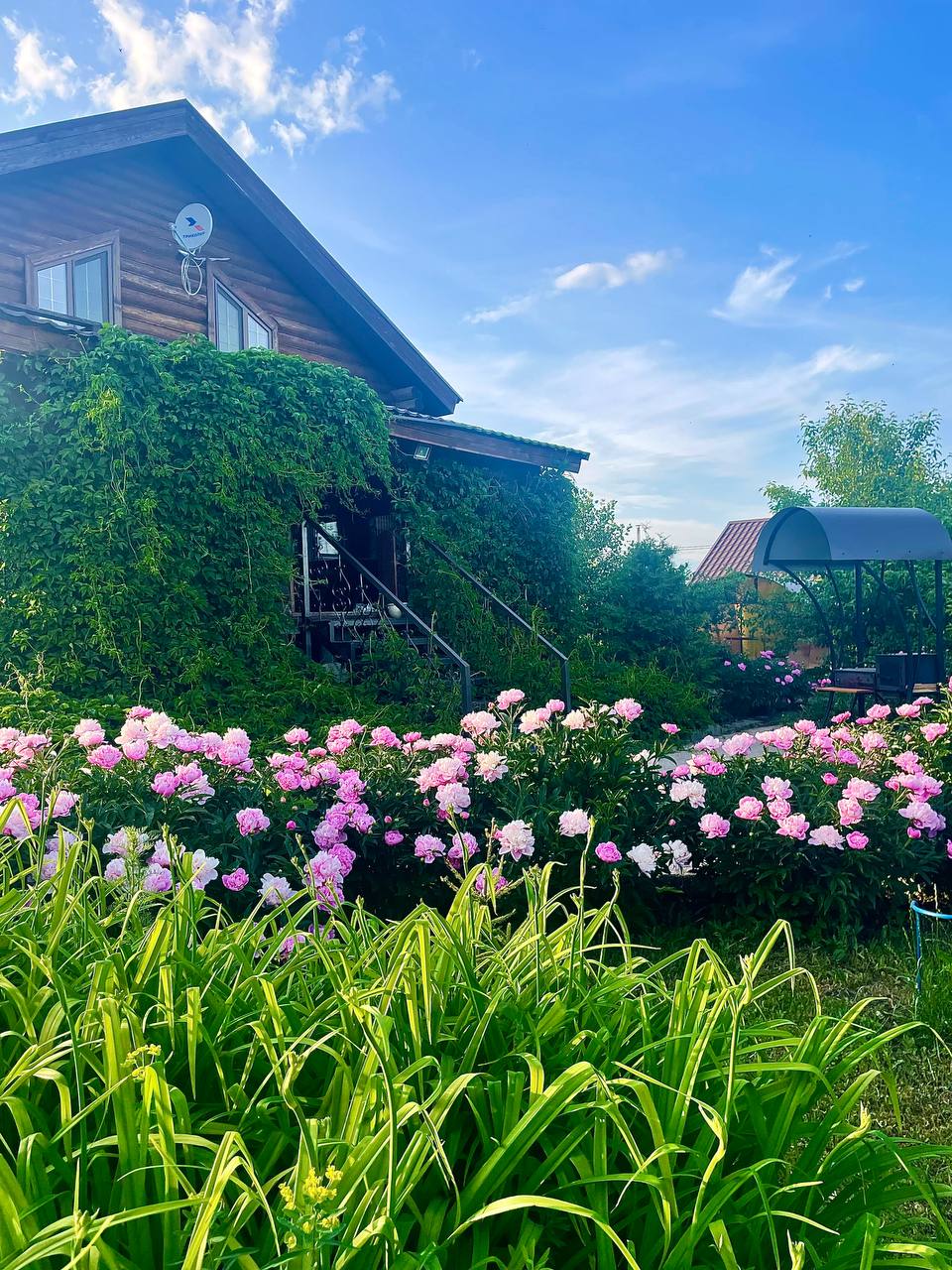 База отдыха| Глэмпинг "Улей" недалеко от Уфы