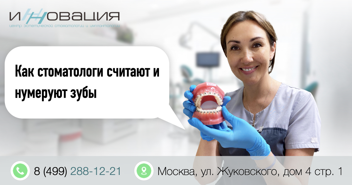 Как стоматологи считают и нумеруют зубы? | Блог стоматологии ЦЭСИ ...