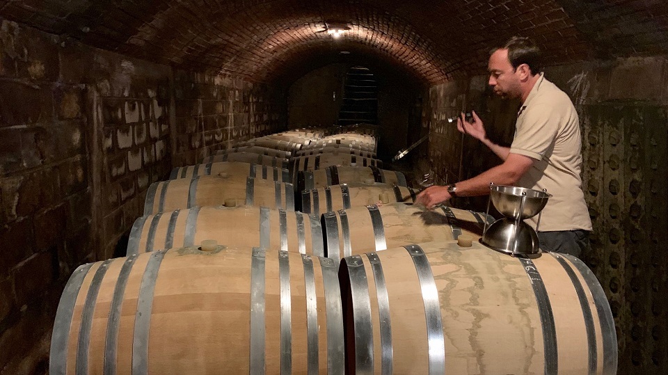 A moment of calm in the cave as Olivier Collin shows me his 2018s from barrel.
