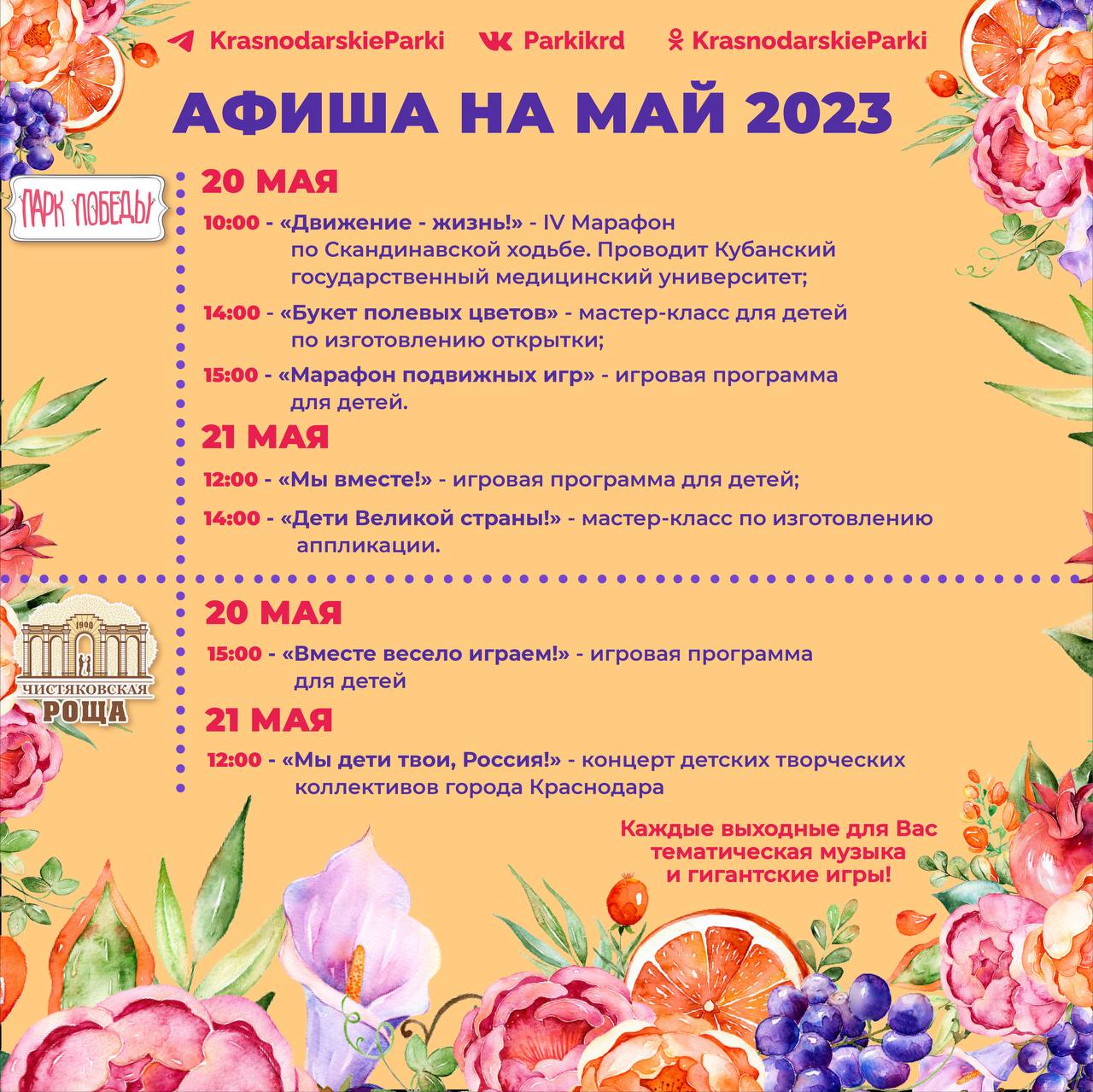 программа мероприятий краснодаре