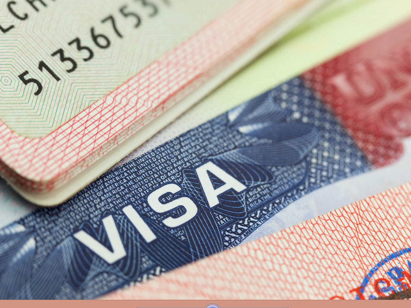 визы