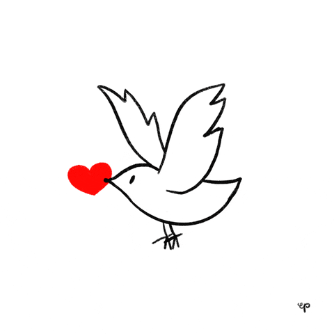 5bc0f970-4f8c-cc9f-8.gif