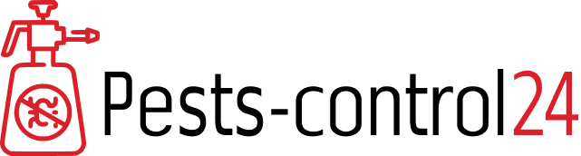 Company