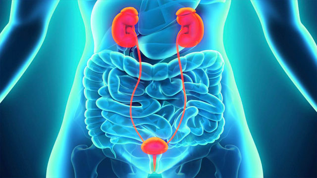 Необходимость промывания мочевого пузыря