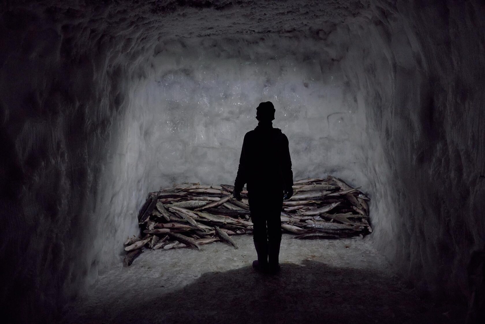 Россия | Слава Луи-Фа. Семья Самотищук хранит продукты в ледяном погребе у берега реки Колымы, который постепенно размывается. © Слава Луи-Фа / Onewater