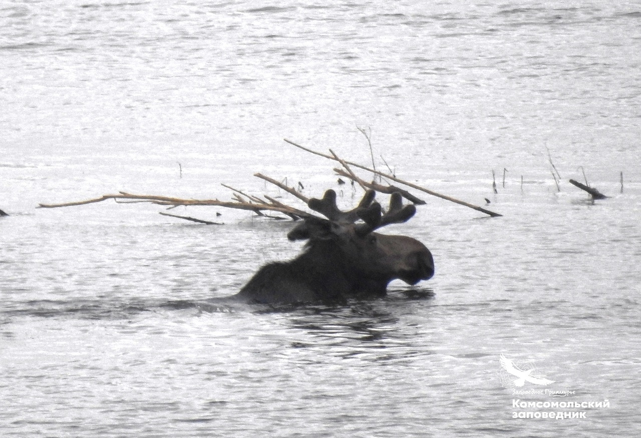 Фото Дмитрия Беляева