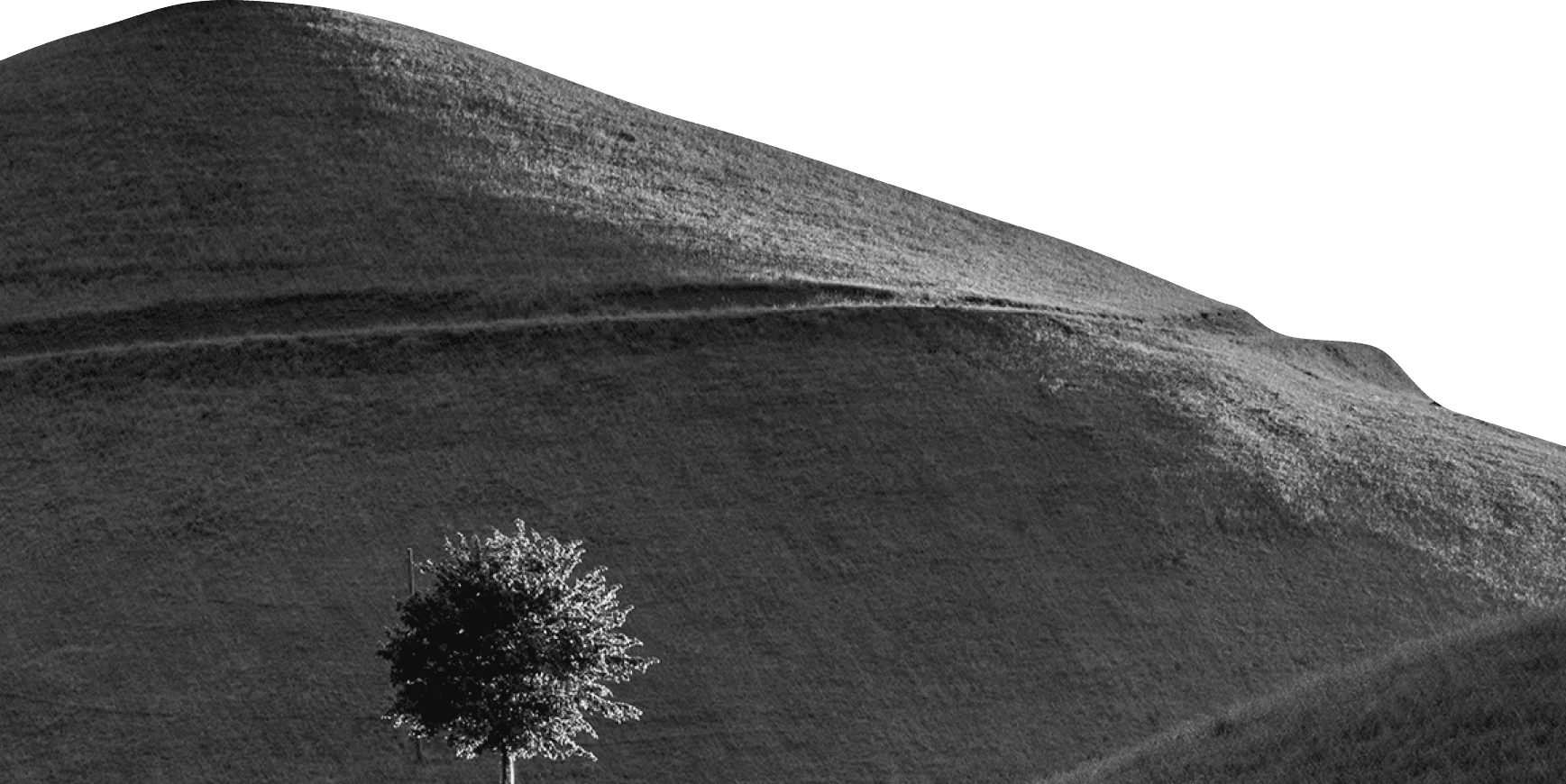 background from creative design agency gigitalica