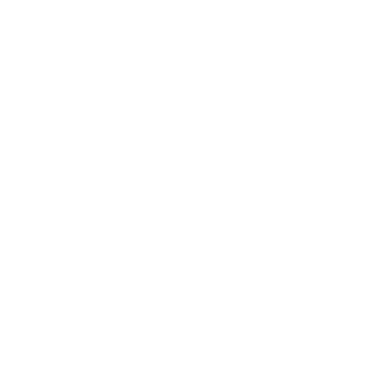 SM LIFE SOLUTIONS