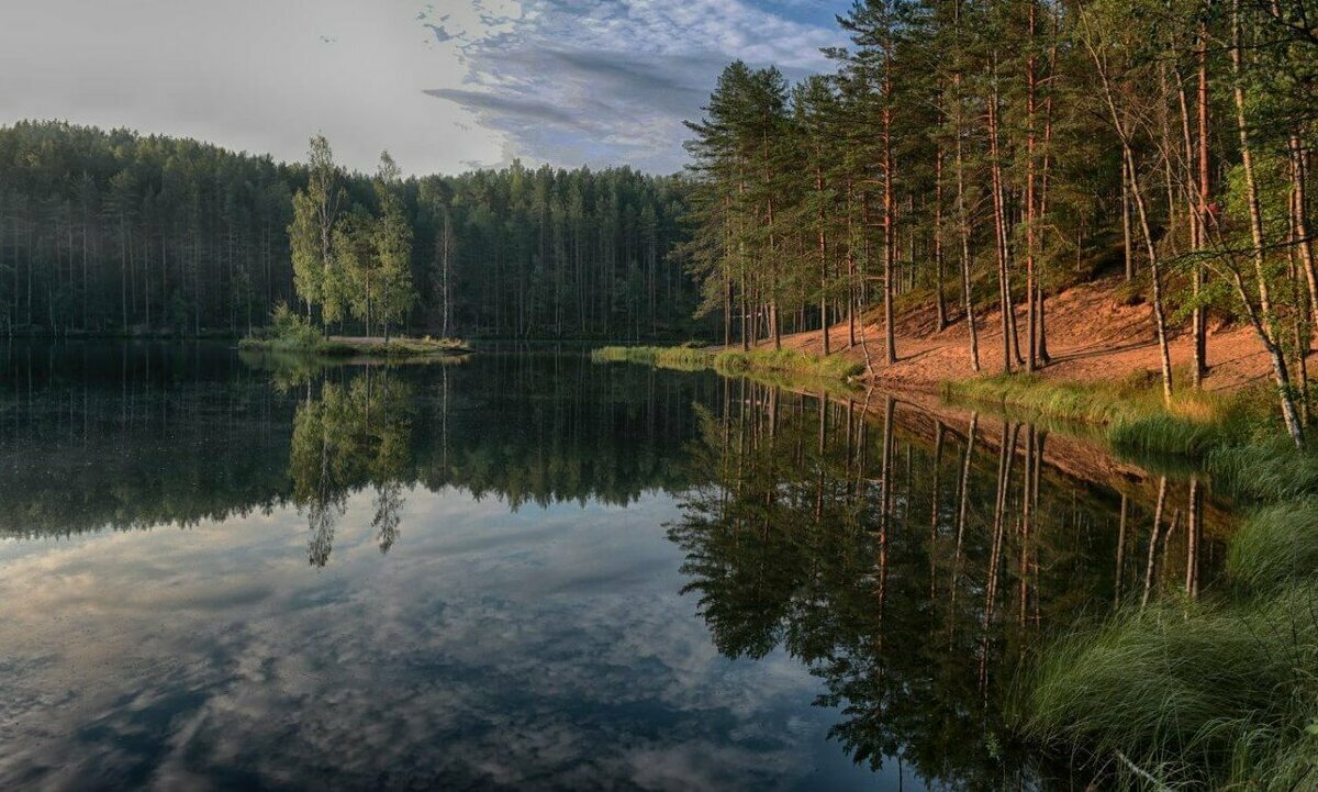 Коршуново озеро Ленинградская область