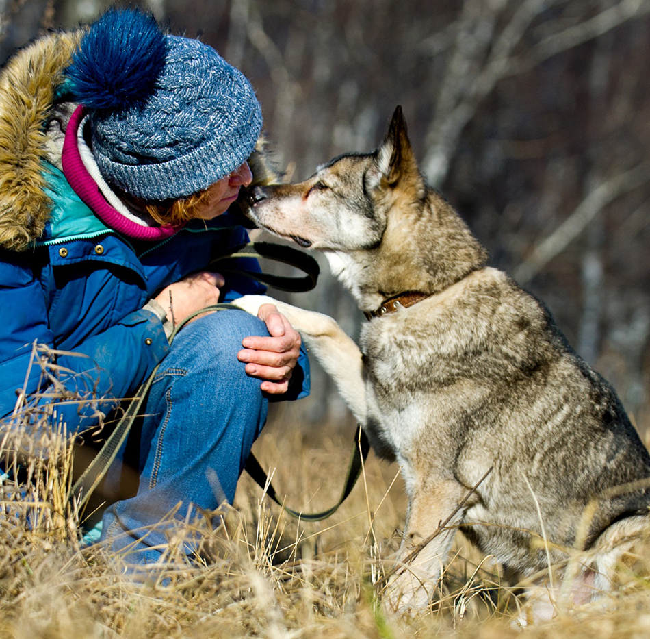 спутник кайден скайрим. отличный компаньон. джерико фоллаут 3. фрейя скайрим. отличный компаньон.