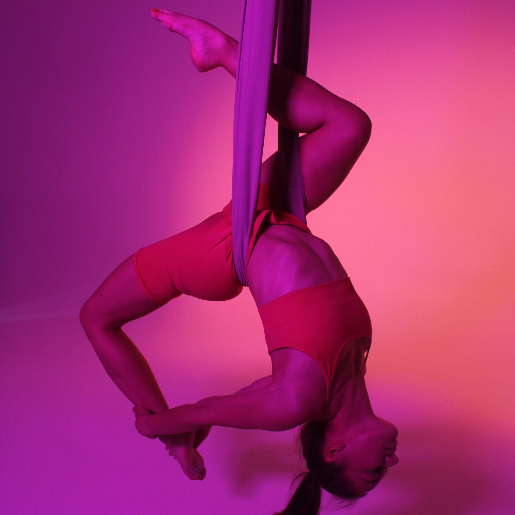 Растяжка на полотнах СПБ