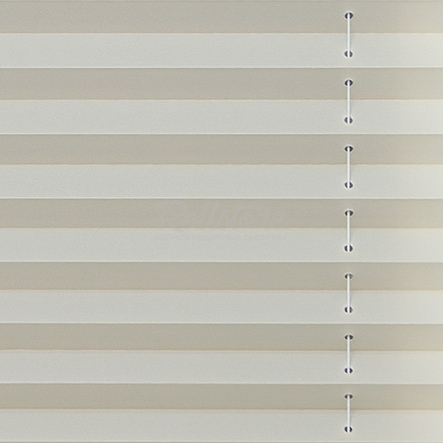 Анже апельсин