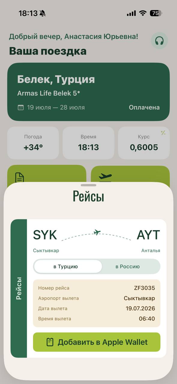 Экран рейсов и посадочные в Apple Wallet