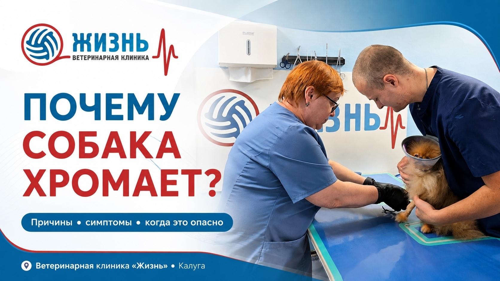 Ветеринарный врач ортопед в Калуге