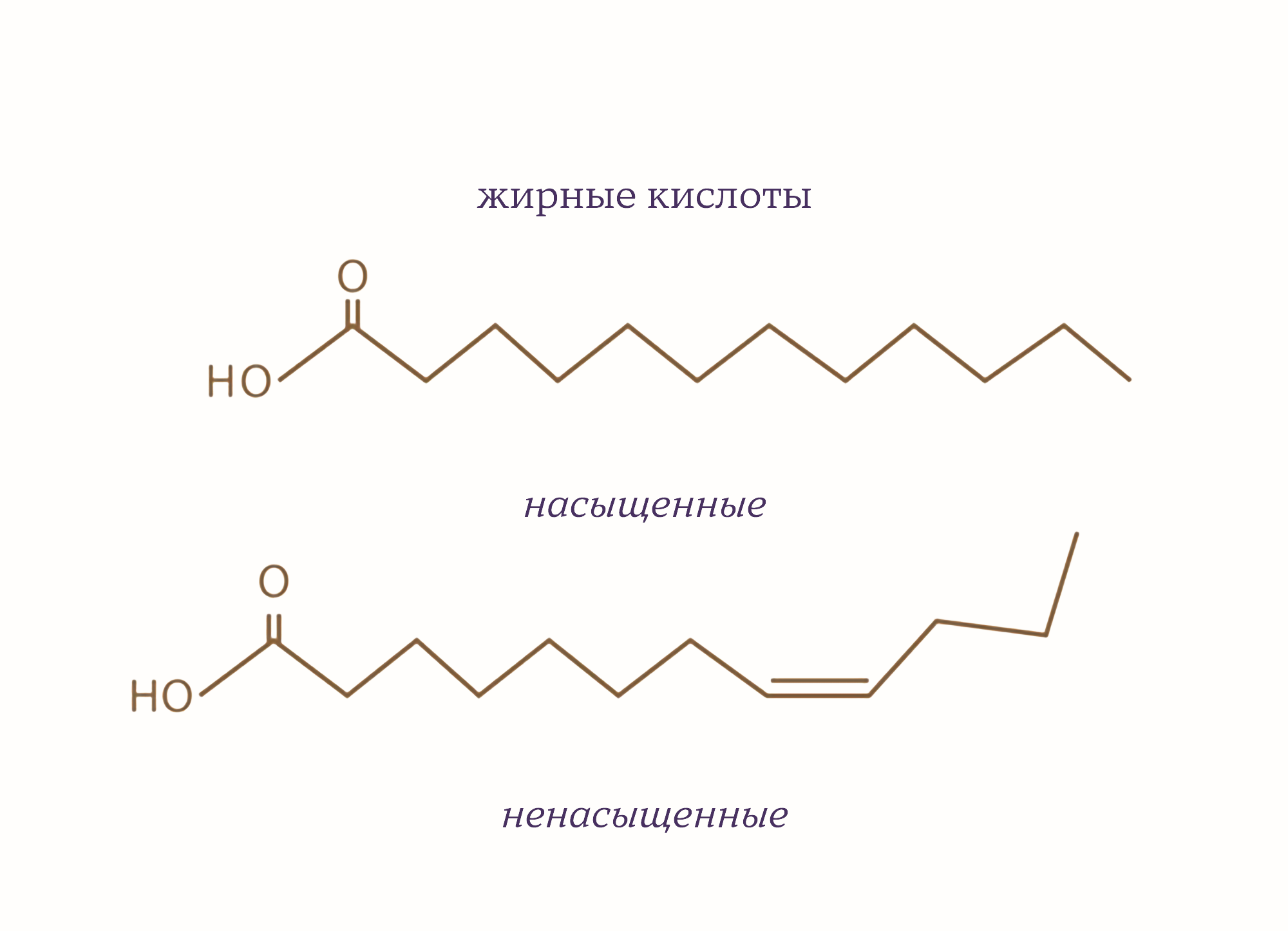 Мононенасыщенные жирные кислоты. Насыщенные жиры и ненасыщенные жиры. Насыщенные жиры и ненасыщенные в чем разница. Мононенасыщенные и полиненасыщенные жиры.