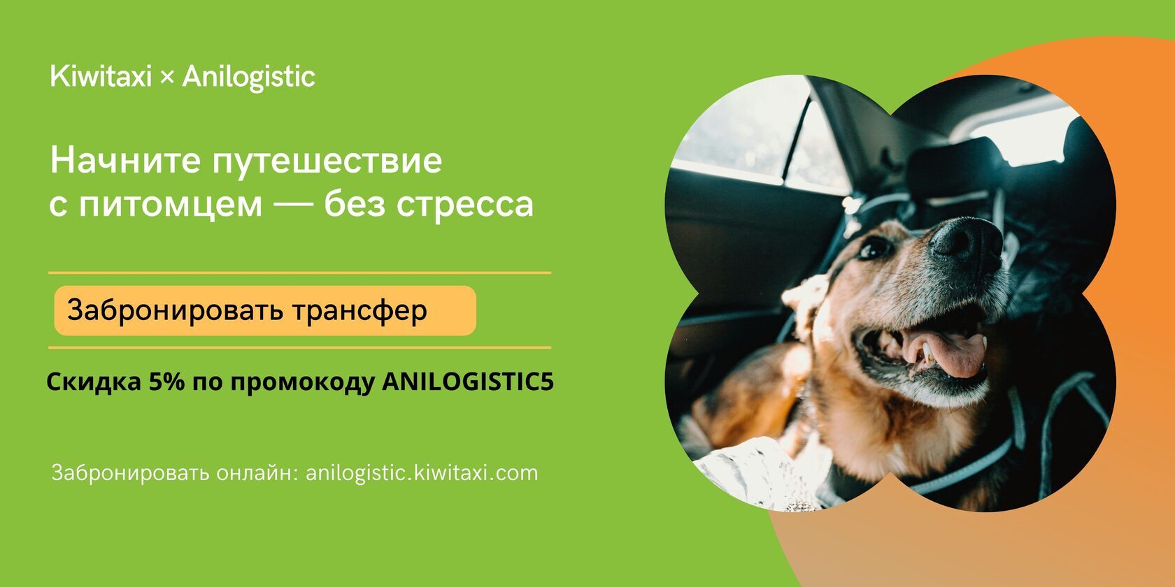 трансфер с питомцем вместе с  KiwiTaxi
