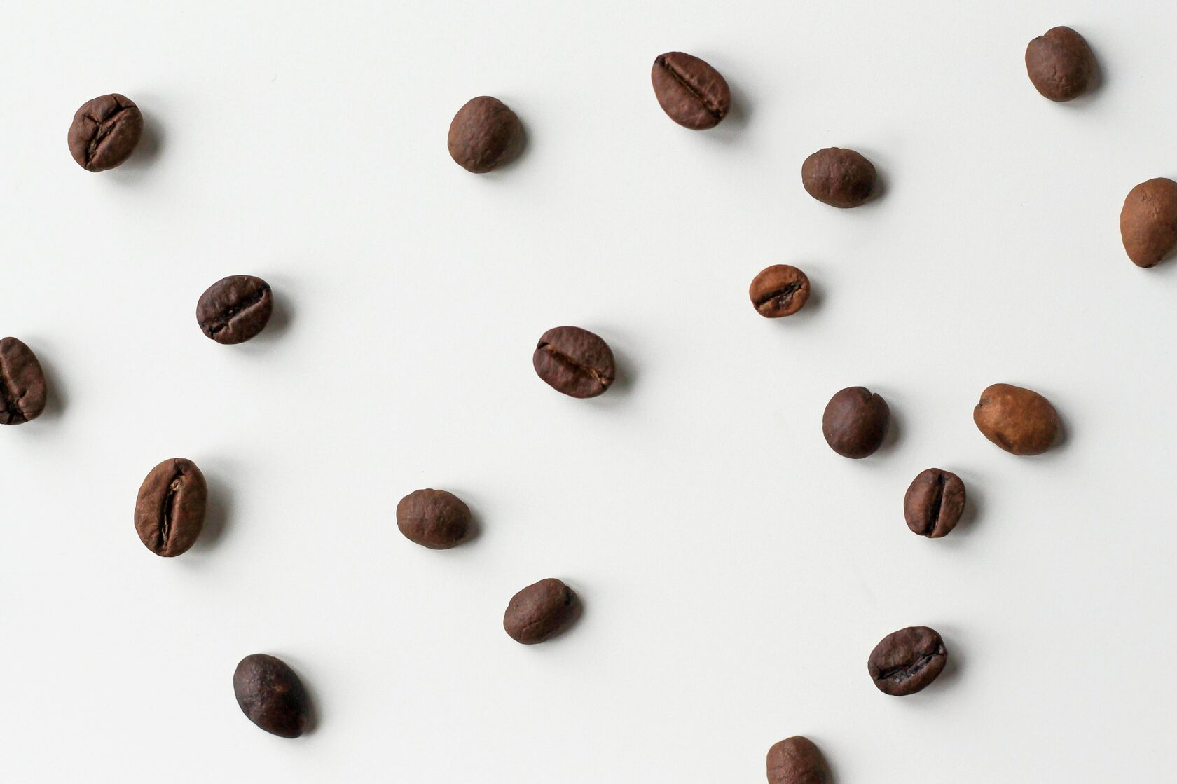 Brocéliande Decaf Swiss Water