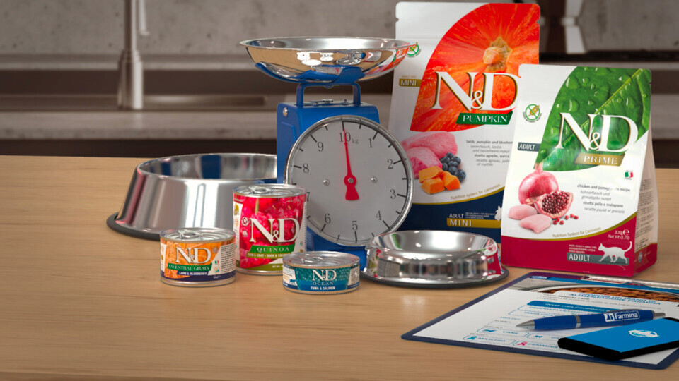 корм фармина