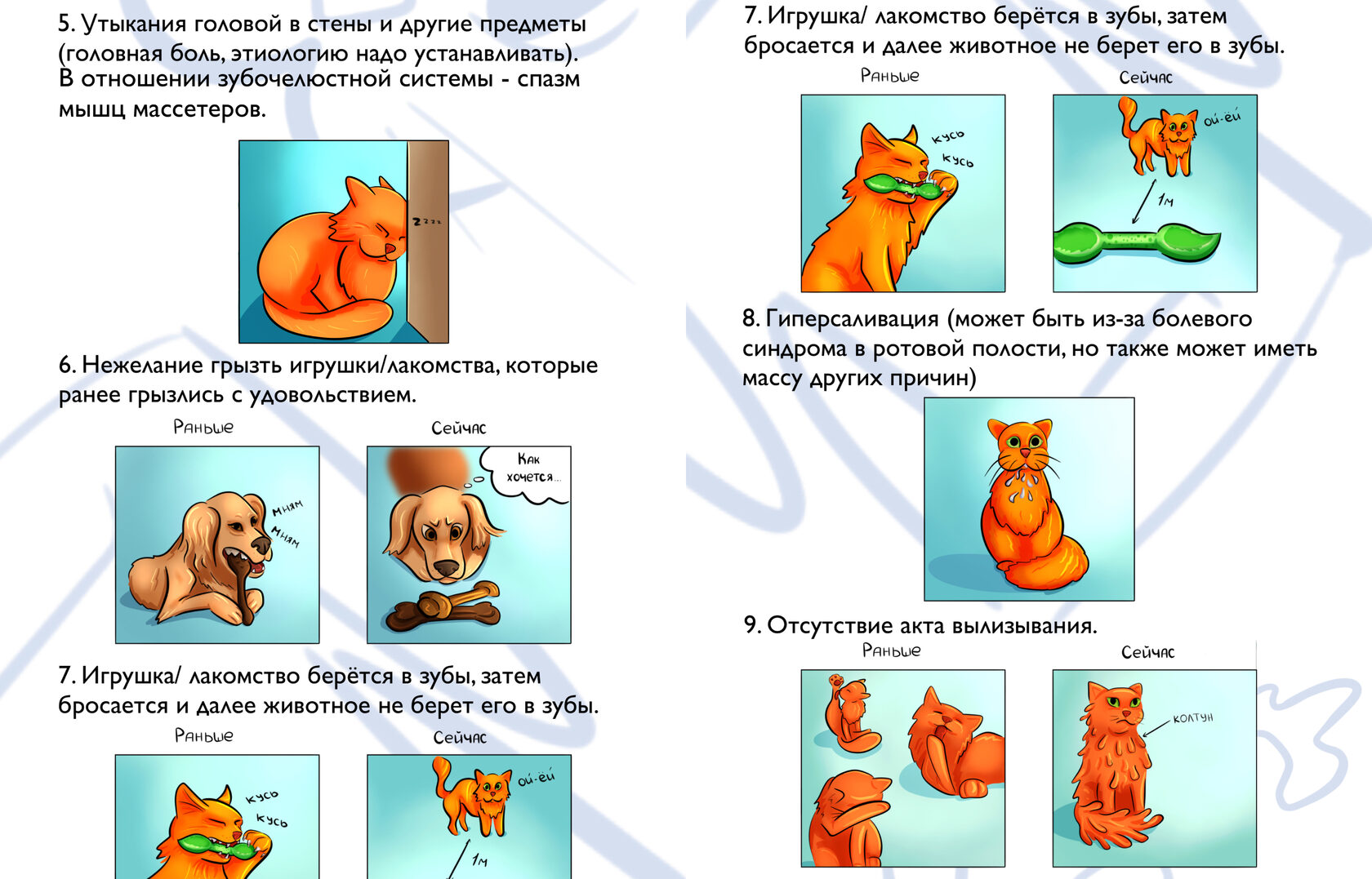 Ветеринарная клиника «Грыззли» | Ярославцева Ярославна | Ветеринарная  стоматология