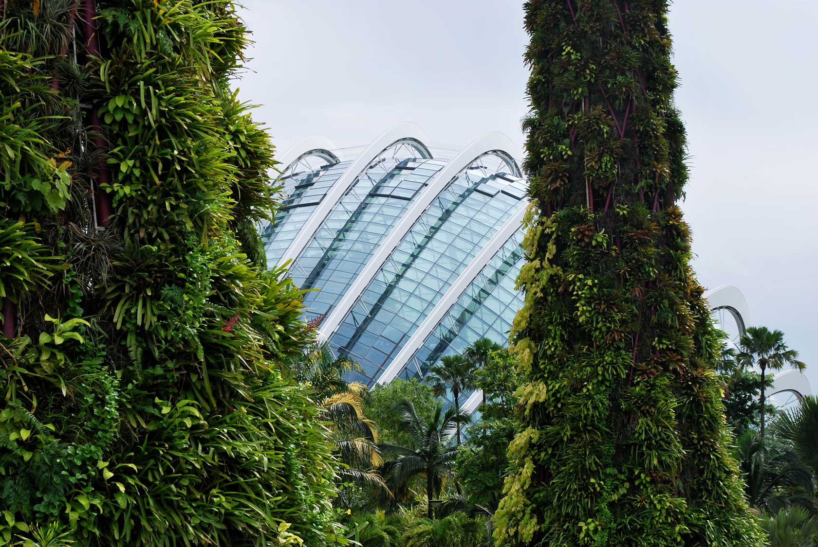 сады у залива Марина Бей в Сингапуре