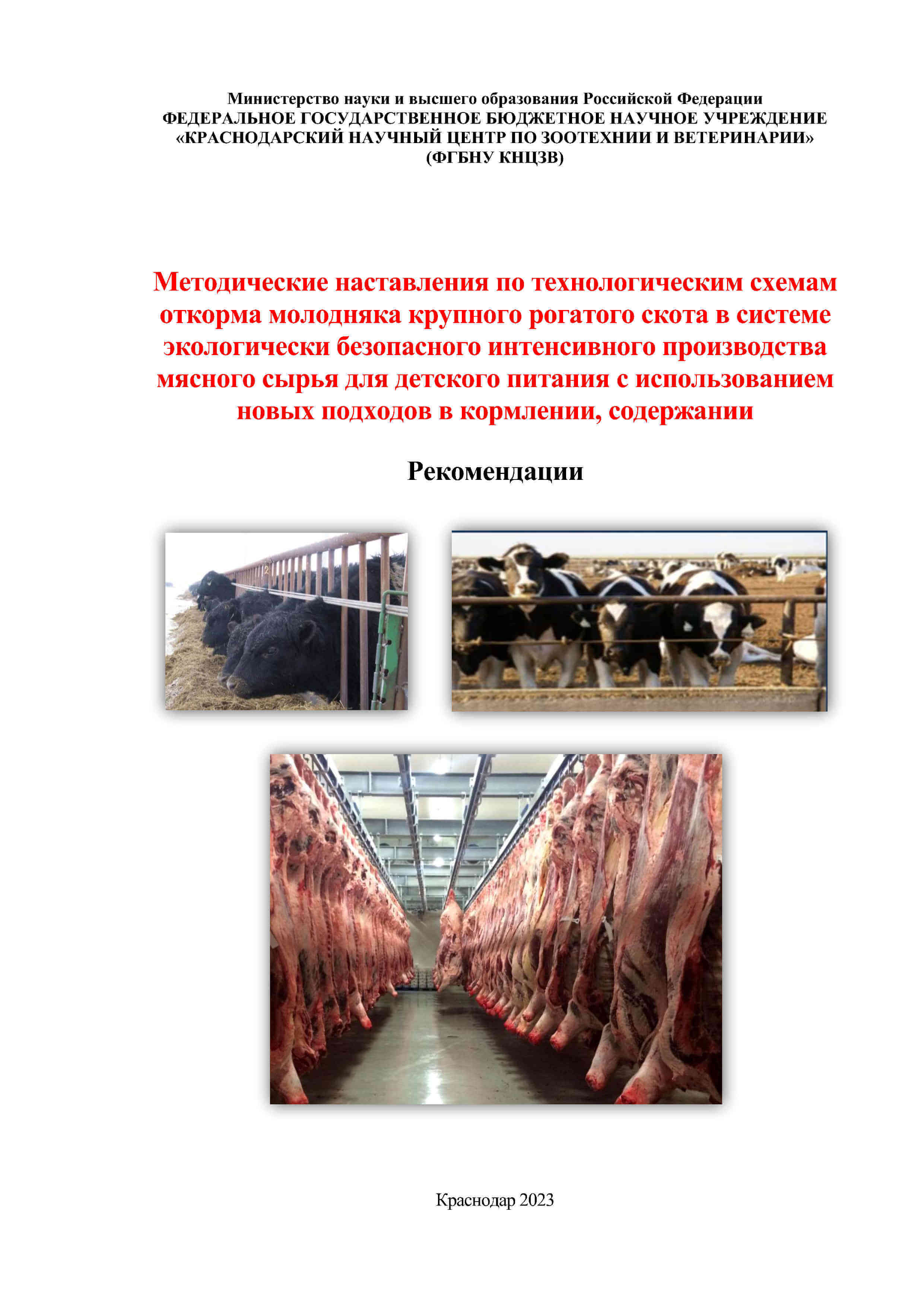 Методические наставления по технологическим схемам откорма молодняка крупного рогатого скота в системе экологически безопасного интенсивного производства мясного сырья для детского питания, кормление и содержание крупного рогатого скота схемы откорма КРС, производсво мясного сырья, безопасное детское питание, книга, монография, пособие, рекомендации, Краснодарский научный центр по зоотехнии и ветеринарии, ФГБНУ КНЦЗВ