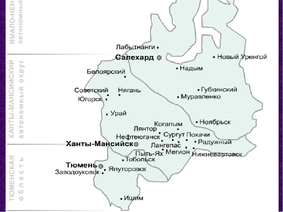 Карта высот тюменской области. Карта Тюменской области с городами. Карта Тюменской области с городами и поселками. Карта Тюменской области с ХМАО И ЯНАО. Карта Тюменской области на карте.