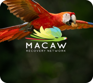 Macaw Recovery Network