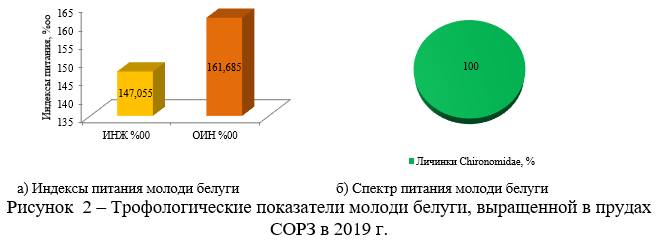 Трофологические показатели молоди белуги, выращенной в прудах СОРЗ в 2019 г.