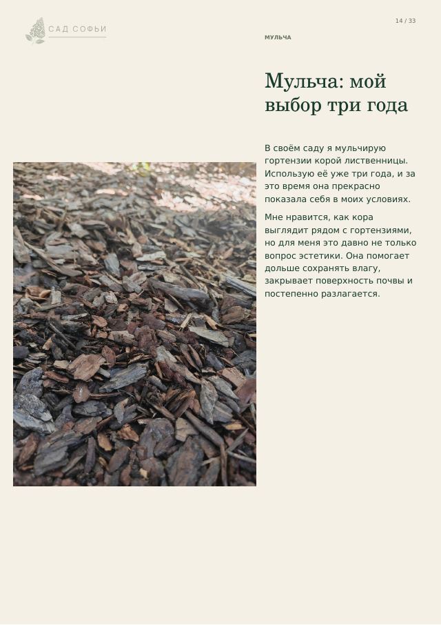 Внутренняя страница материала До морозов о состоянии листьев