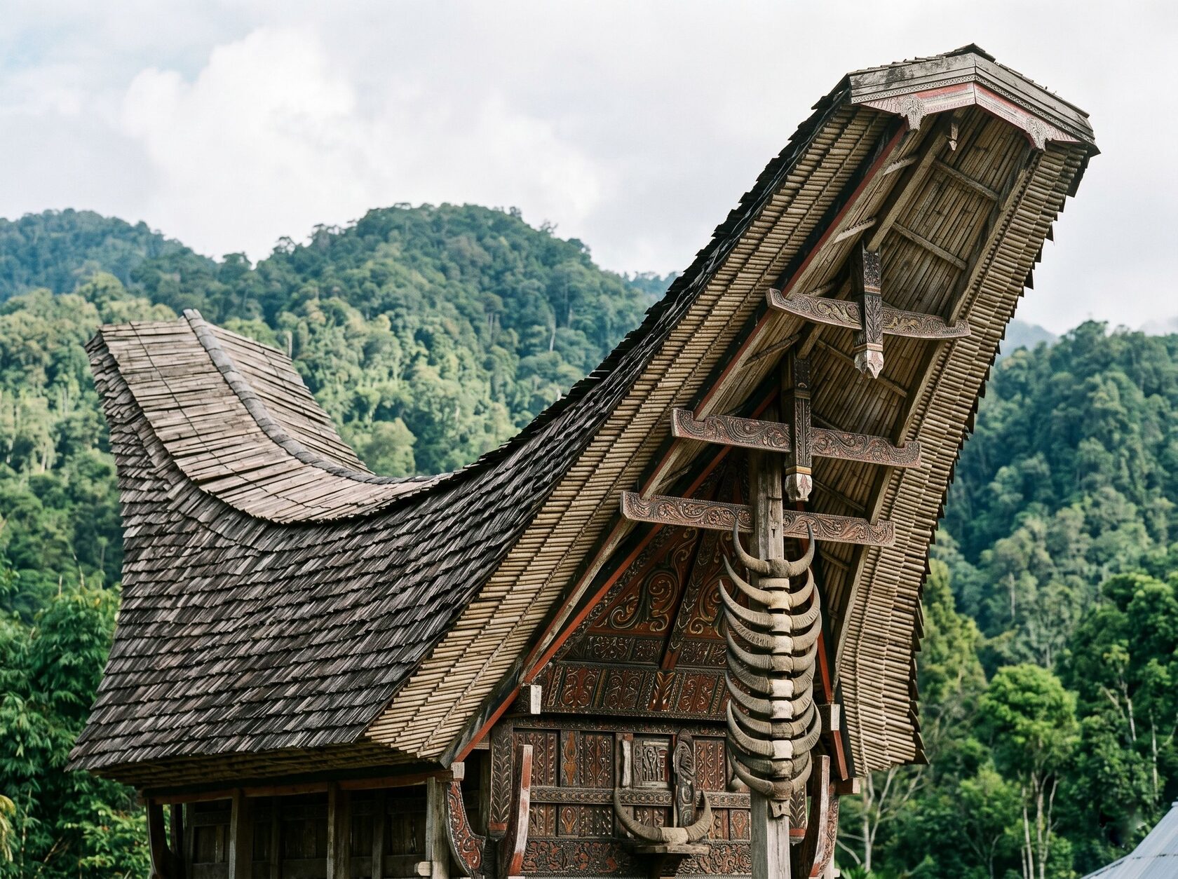 Bentuk atap rumah adat Toraja Tongkonan yang melengkung seperti perahu