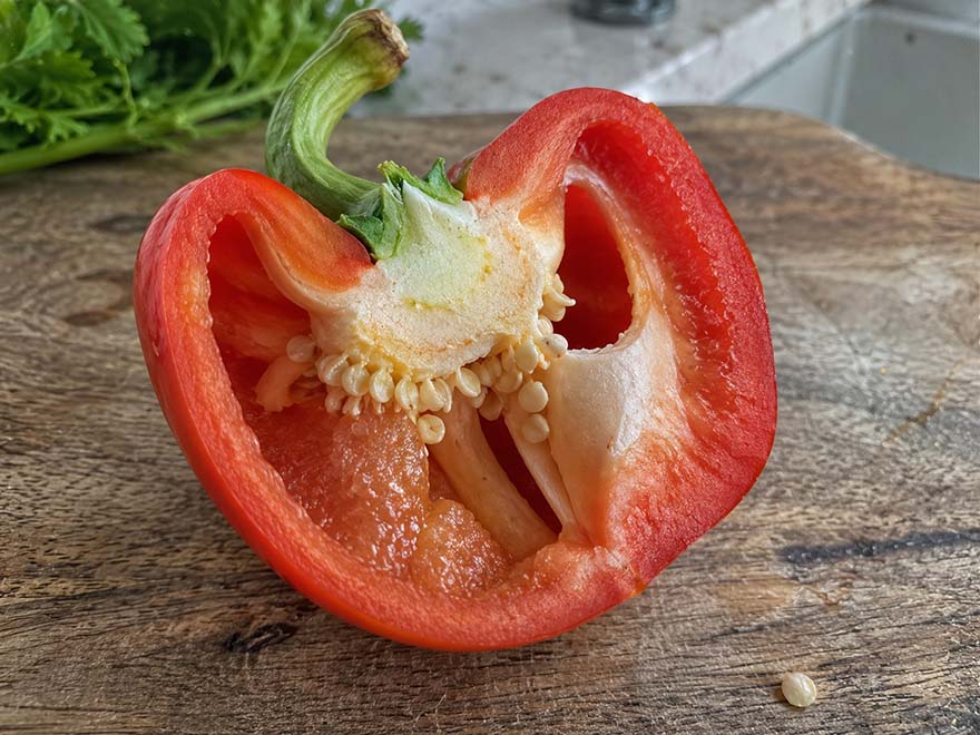 Inside of a sweet pepper showing seeds and white ribs, where the spicy capsaicin sits