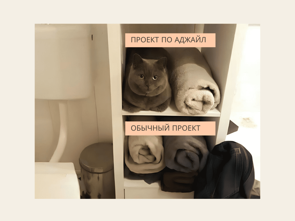 Мем про Agile