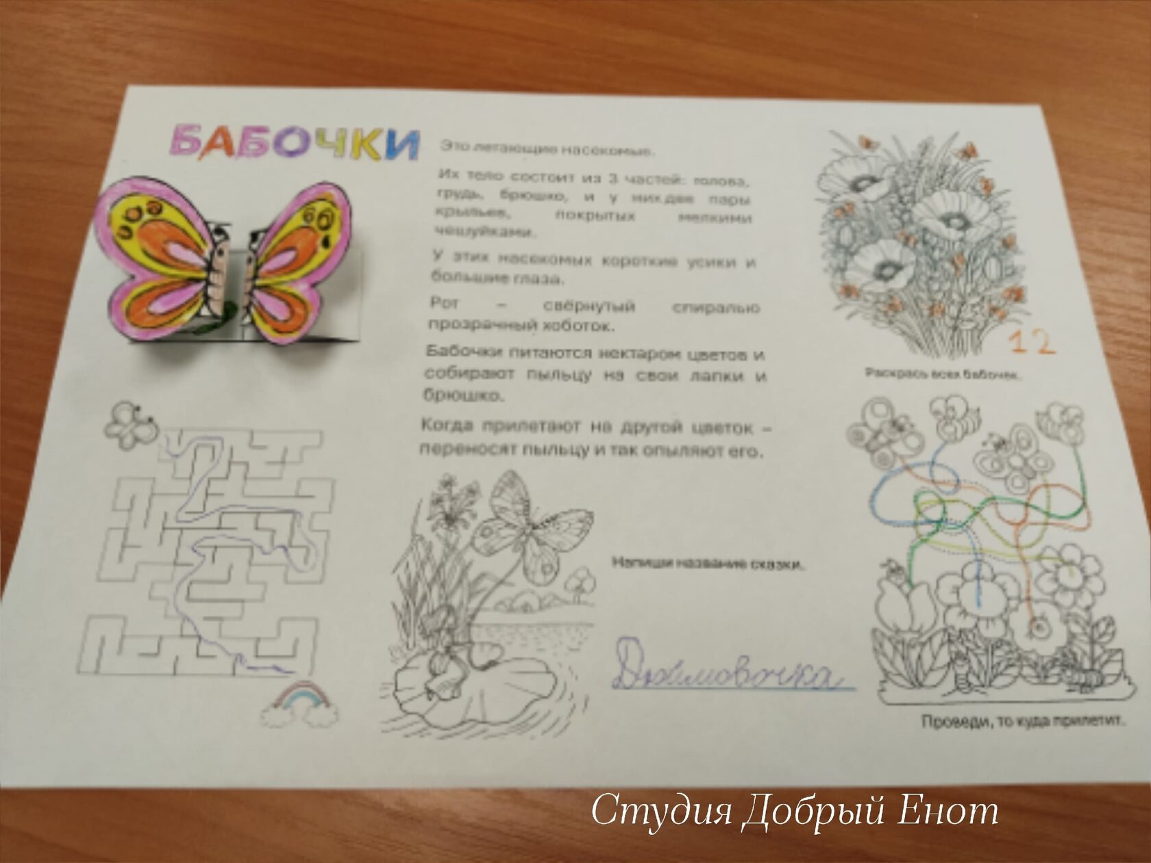 Развитие познавательных способностей