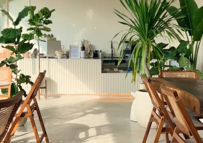 A beautiful, sunlit cafe interior filled with green plants and aesthetic wooden furniture, an ideal morning spot for syrniki and other varieties of Russian food in Bali.