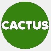 Гобо проектор для сети магазинов Cactus г. Харьков, Днепр, Киев, Львов