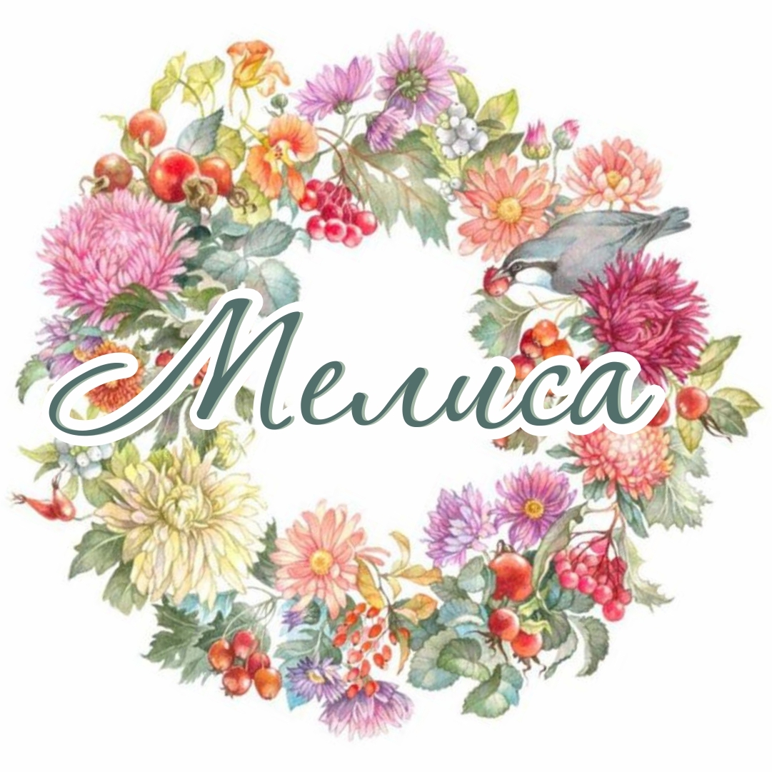 @melisa_lavka 