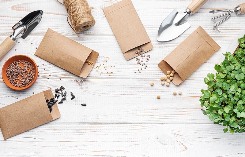 Seed packets, scattered seeds, gardening tools, and a small green plant on a white wooden surface, illustrating seed starting techniques for improved germination.