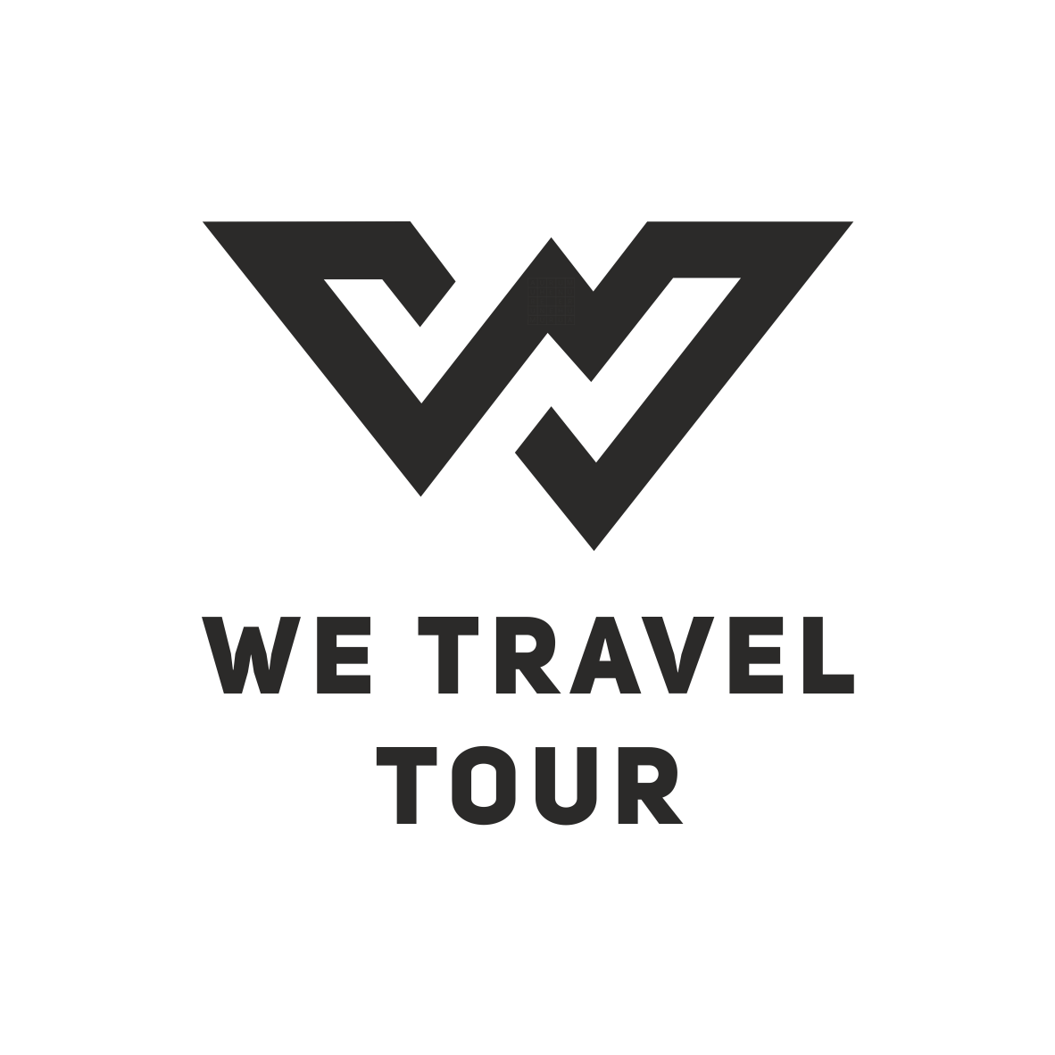 логотип самого профессионального туристического оператора на Кавказе We travel tour